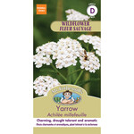 Mr. Fothergill's YARROW White Seeds