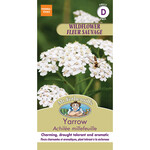 Mr. Fothergill's YARROW White