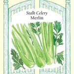 Renee's Celery Merlin Seeds