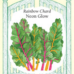 Renee's Rainbow Chard 2-Color Neon Glow Mix Seeds