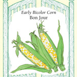Renee's Corn Bon Jour Early Bicolor Seeds