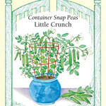 Renee's Peas - Pea Snap Little Crunch Container-np Seeds