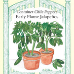 Renee's Pepper Chile Jalapeño Early Flame Container Seeds