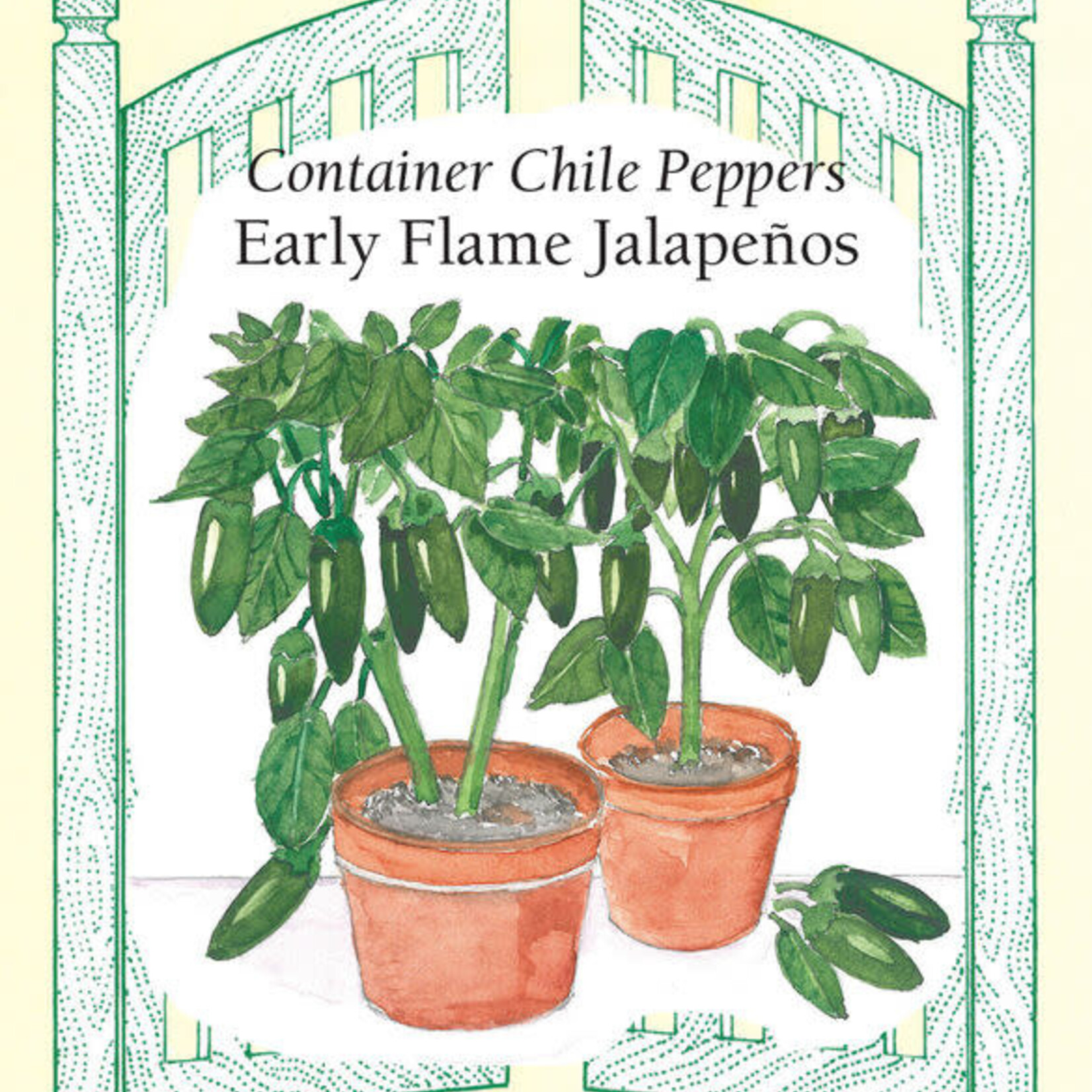 Renee's Pepper Chile Jalapeño Early Flame Container Seeds