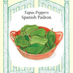 Renee's Pepper - Pepper Sweet Spanish Padron