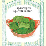 Renee's Pepper Sweet Spanish Padron Seeds