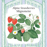 Renee's Strawberry - Alpine Mignonette Strawberry -NP Seeds