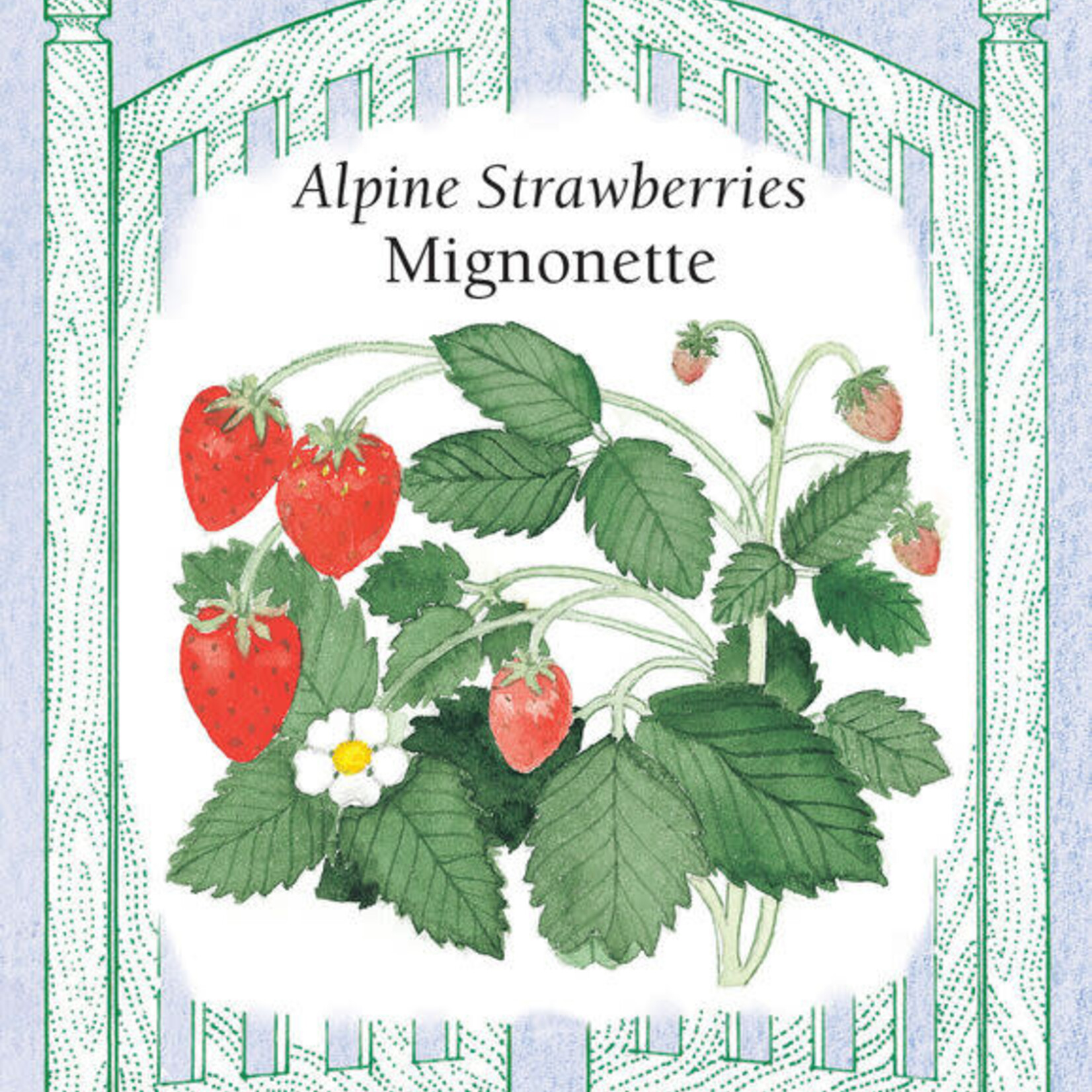 Renee's Strawberry - Alpine Mignonette Strawberry