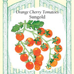 Renee's Sungold Cherry Tomato Seeds