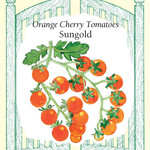 Renee's Tomatoes - Sungold Cherry Tomato