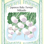 Renee's Turnips Baby Mikado Seeds