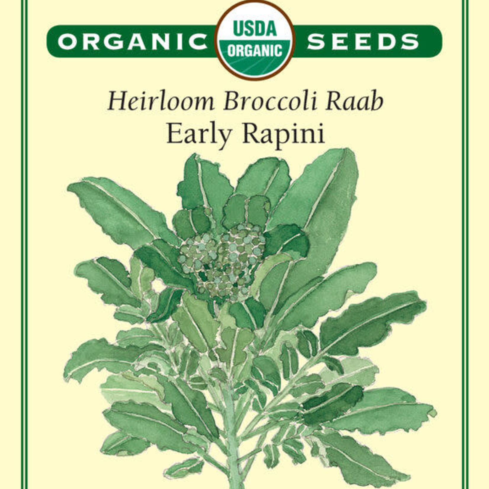 Renee's Broccoli Raab Rapini Organic Seeds
