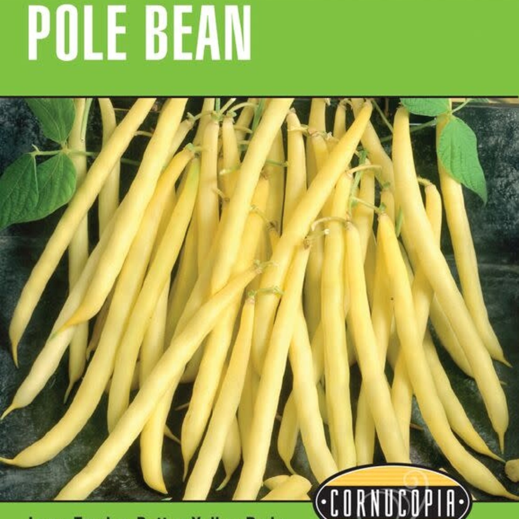 Cornucopia Bean Pole Golden Wax Seeds