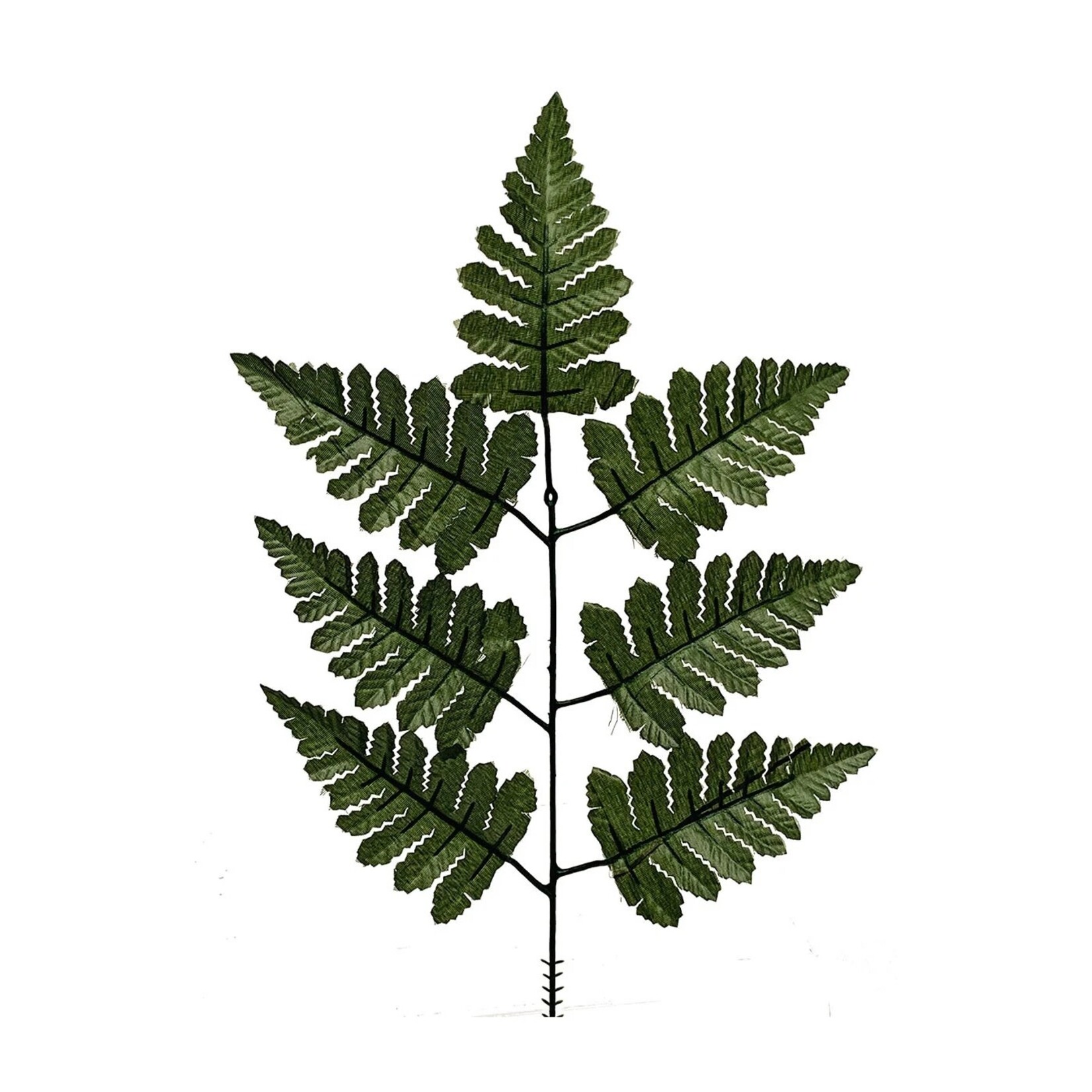leaf Fern 17" pick