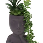 POTTED SUCCULENT GRAY FACE