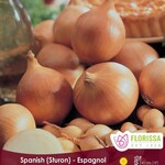 Van Noort Onion Sets - Sturon - Spanish