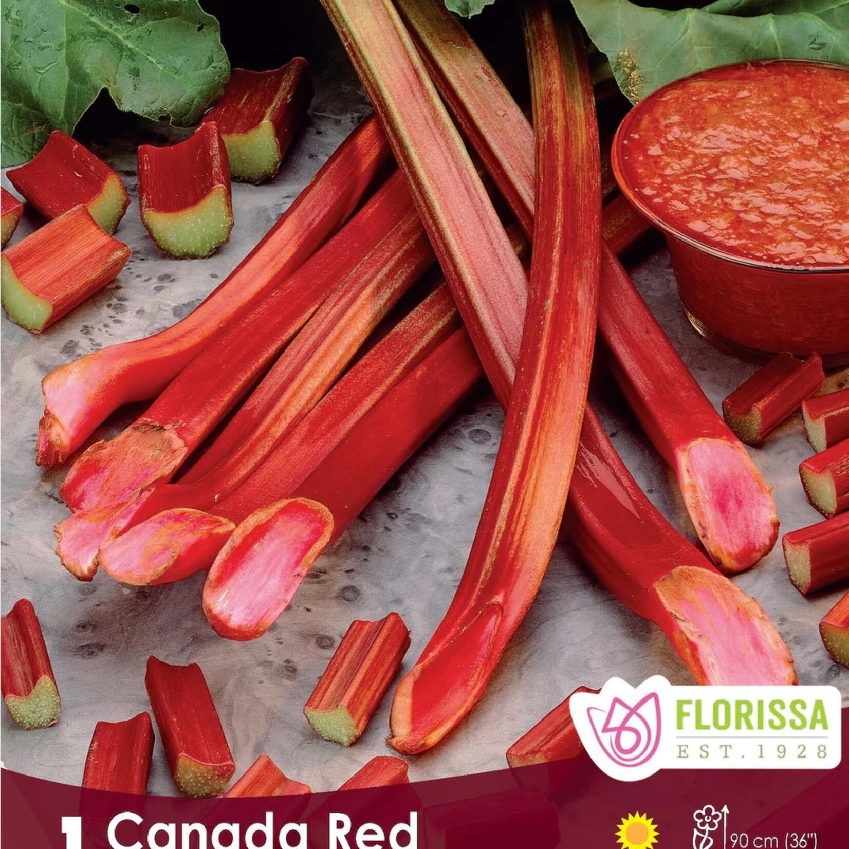 Van Noort Rhubarb Canada Red    1/Pkg.