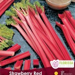 Van Noort Rhubarb - Strawberry Red   1/Pkg.