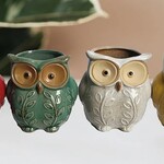 Colorful Owl Pot - 4 Asst. Colours