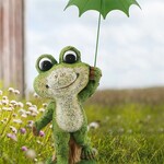 Happy Frog is Ready for More Rain