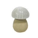 Mushroom with white top