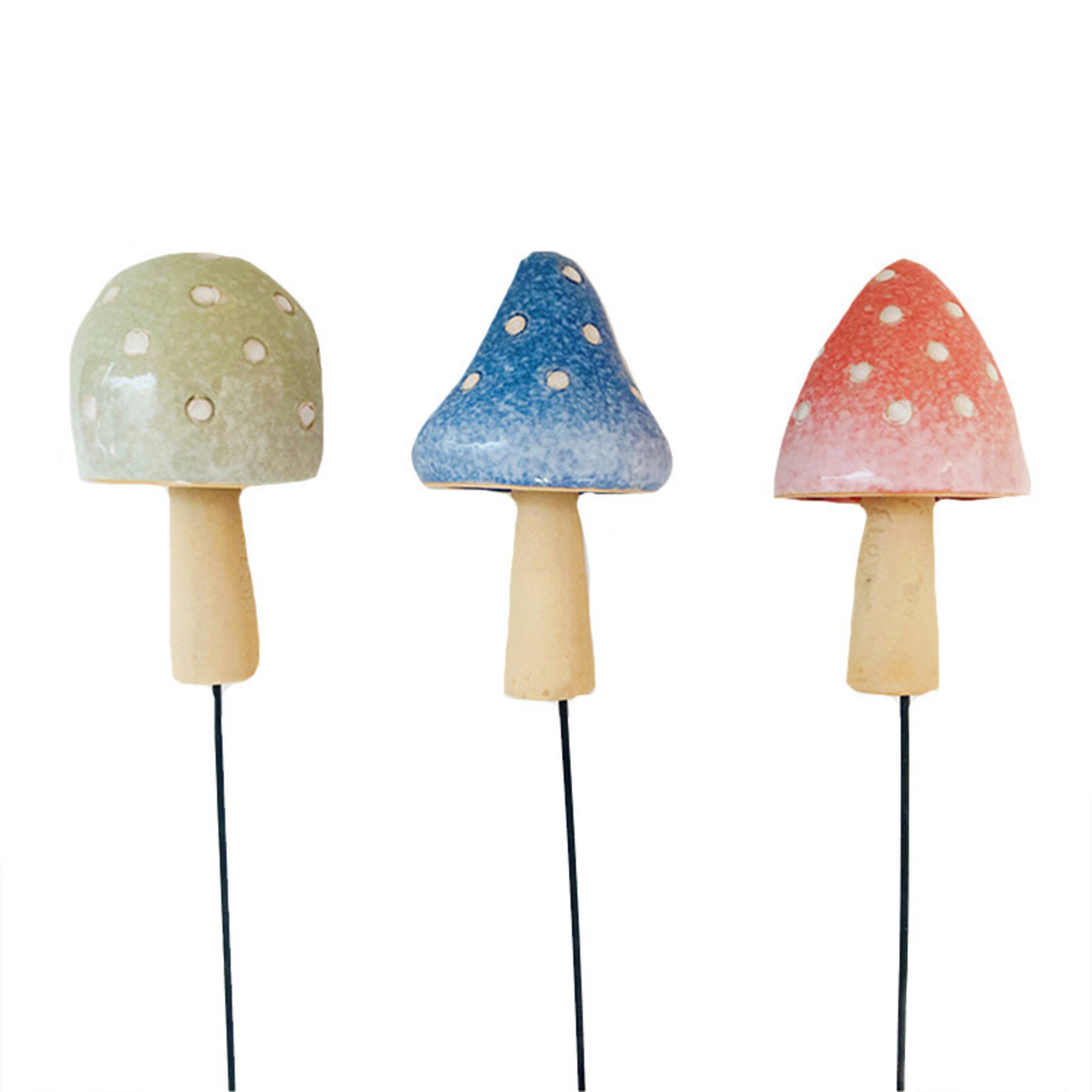 MUSHROOM STAKES - 3 Asst.