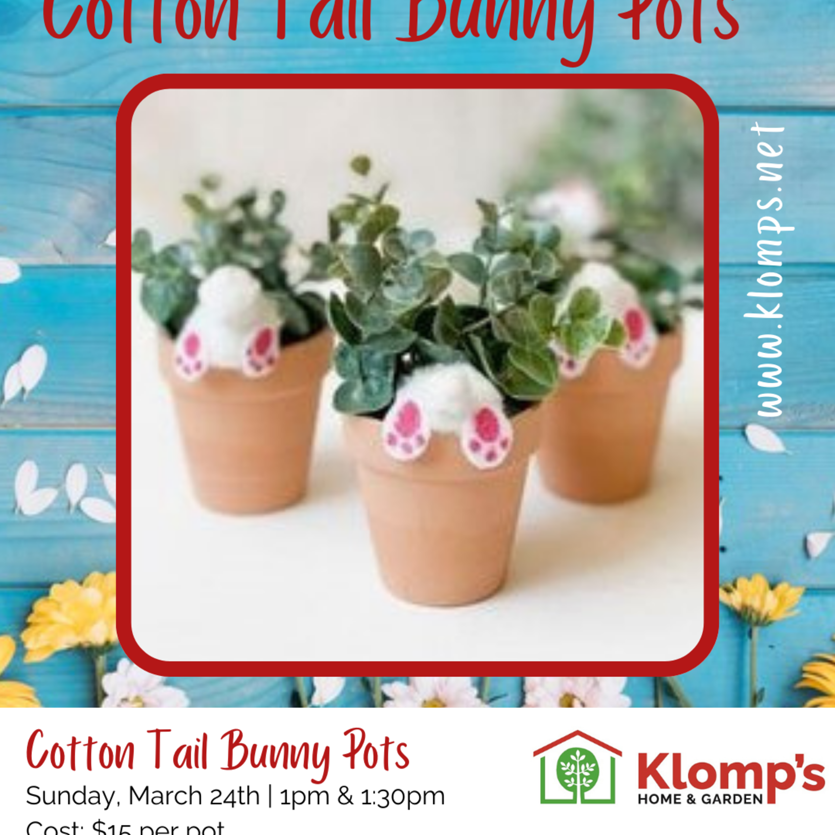 Spring Fiesta |Cotton Tail Bunny Pots Workshop | Sunday, March 24th | 1:30pm Cotton Tail Bunny Pots