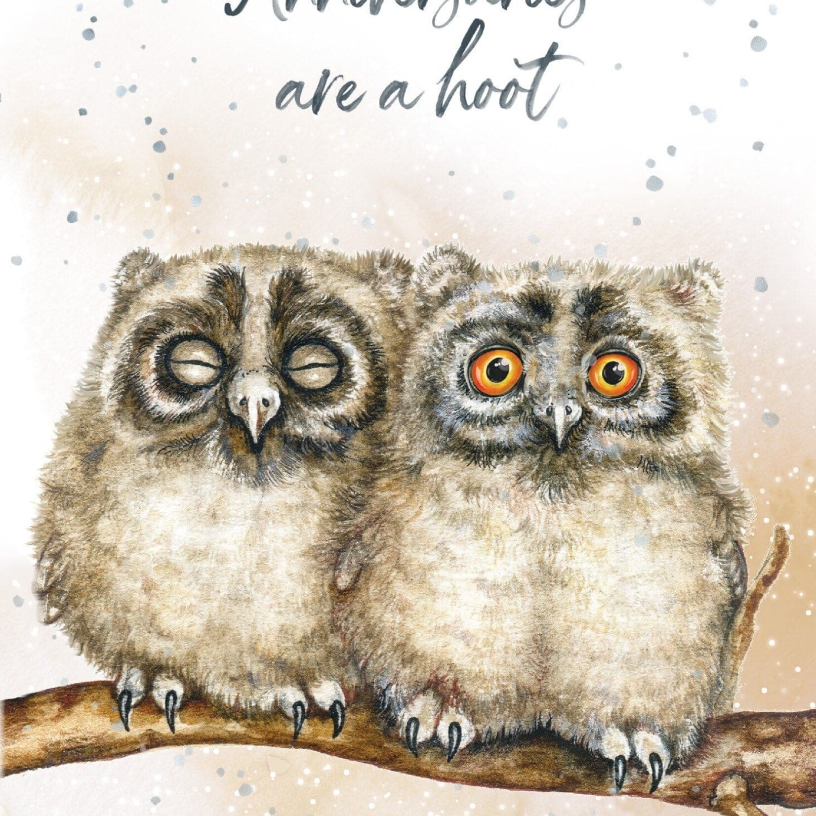 Anniversaries are a hoot - Greeting Card