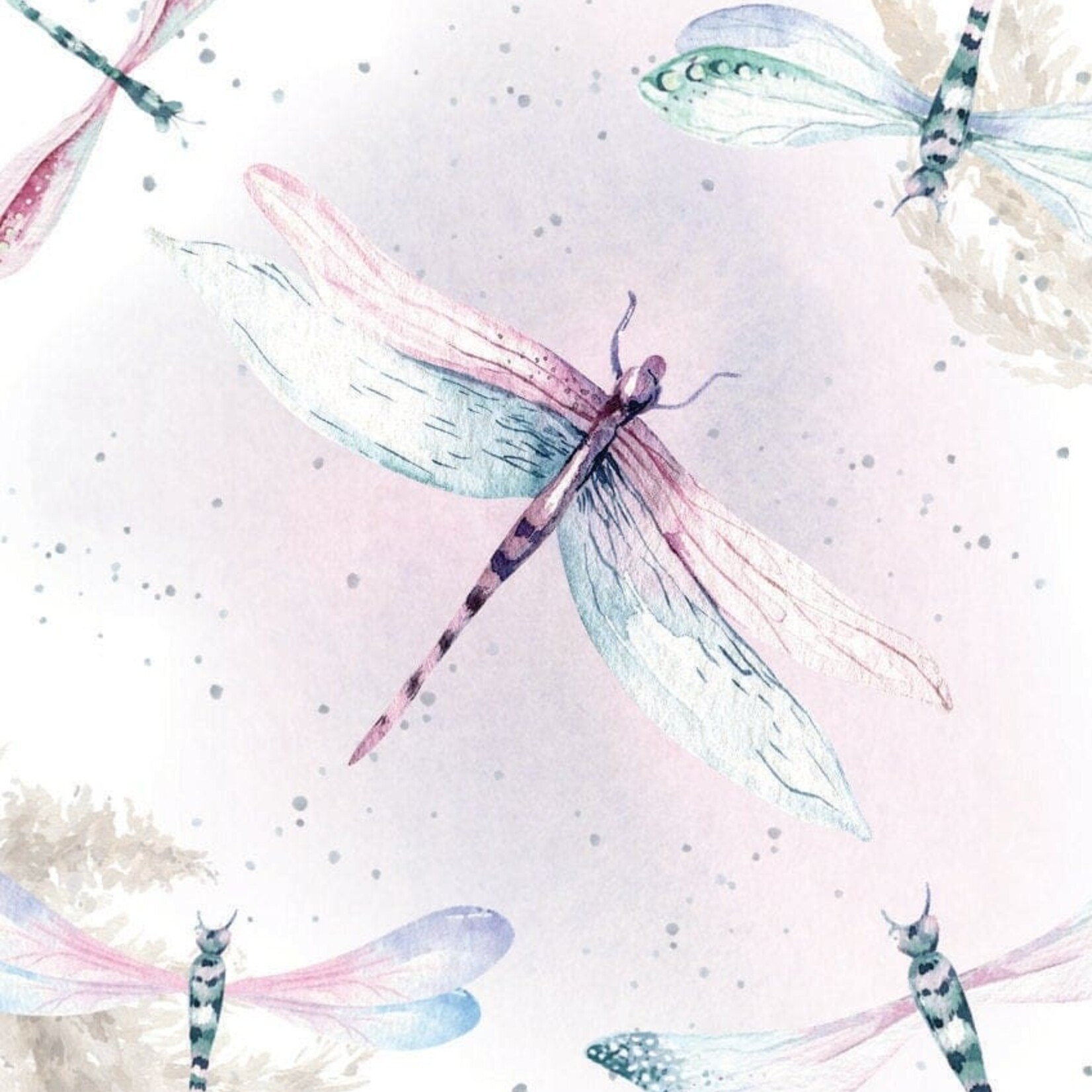Greeting Card - Dazzling Dragonfly Happy Birthday
