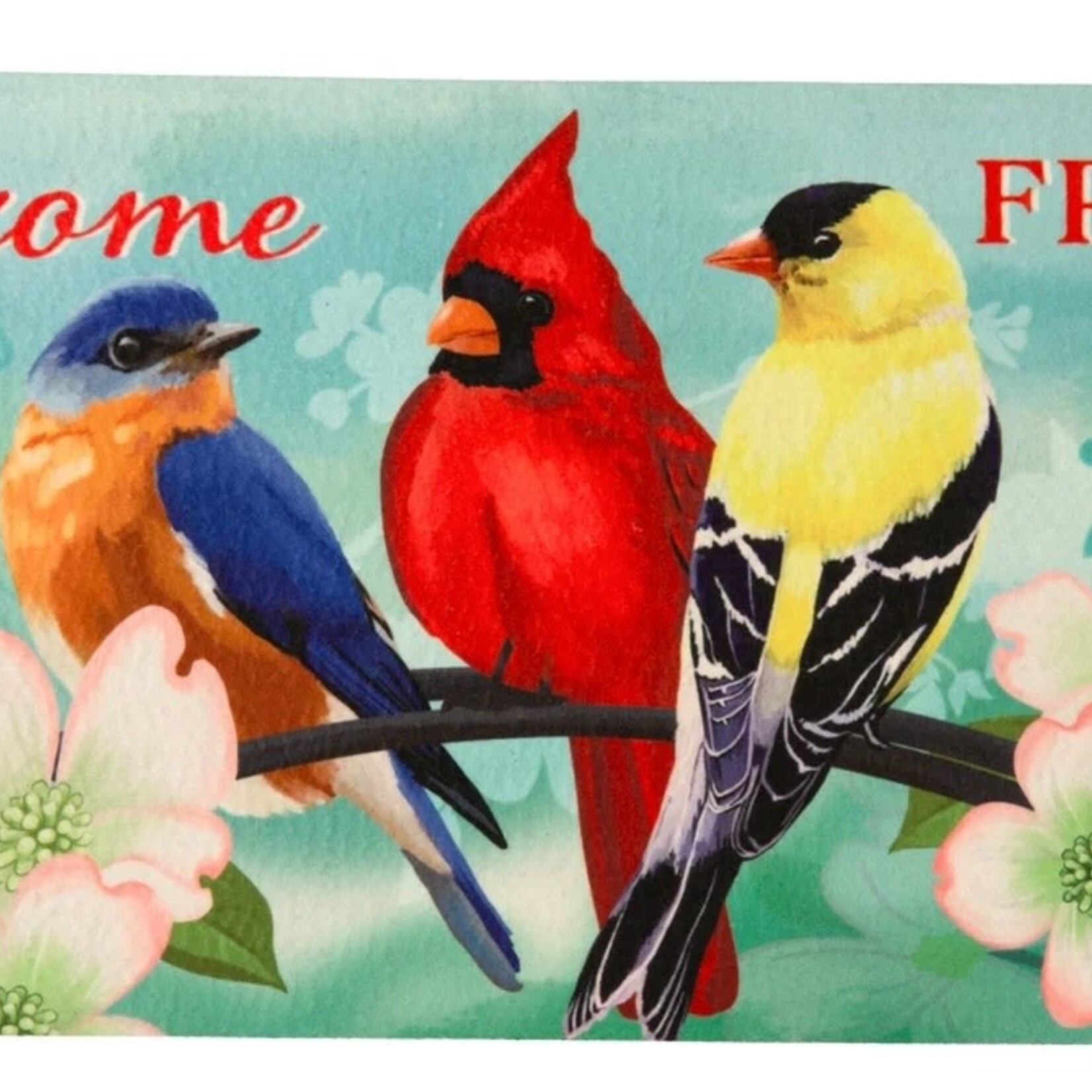 Welcome Friends Sassafras Switch Mat