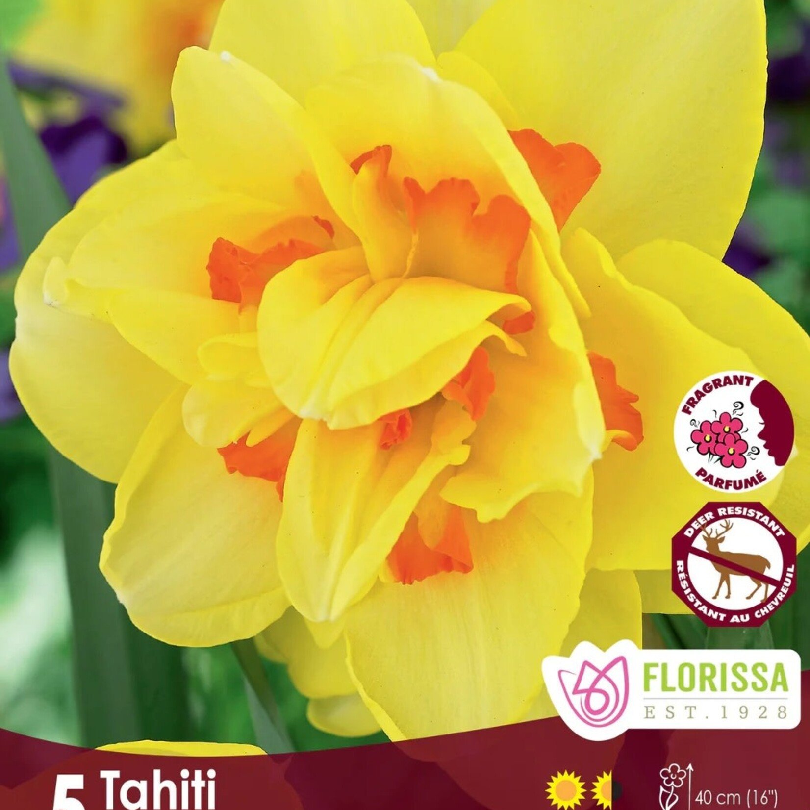 Van Noort Dbl NARC. Tahiti 5/Pkg.