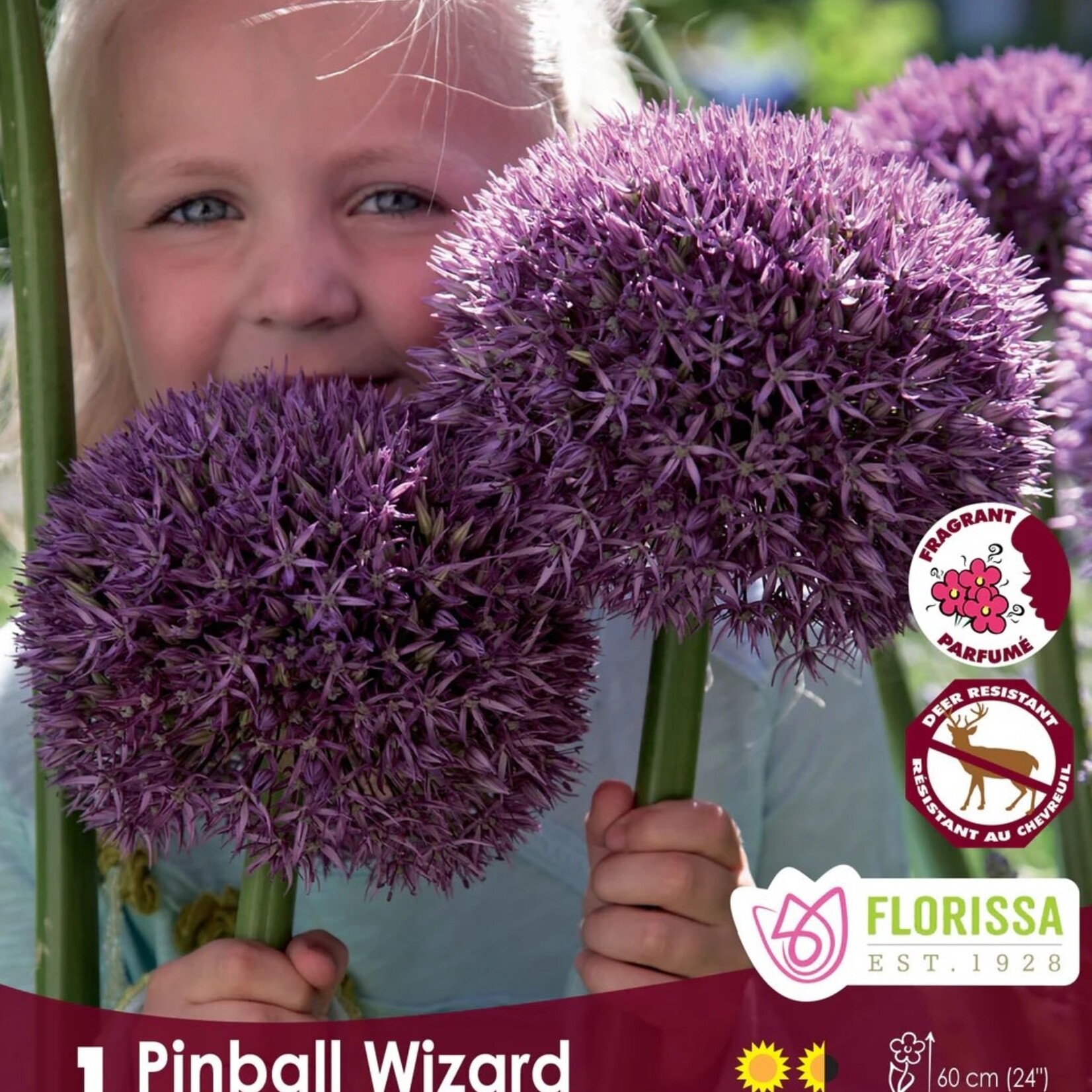 Van Noort ALLIUM Pinball Wizard Pkg.1
