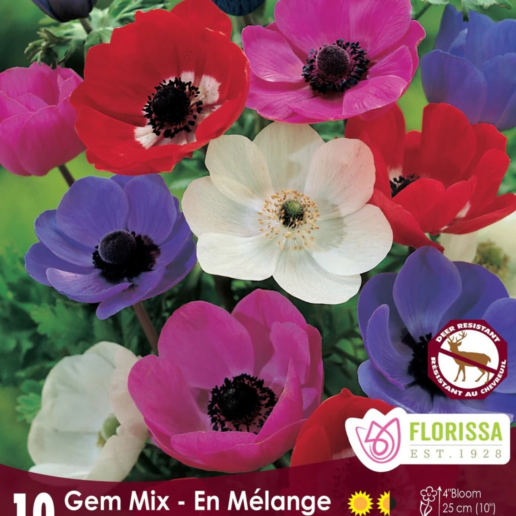Van Noort Anemone De Caen Mix 10/Pkg