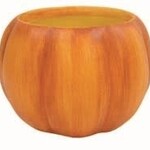 Orange Pumpkin  6" POT