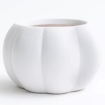 Matte White Glazed Pumpkin  Pot (FITS 4"POT)