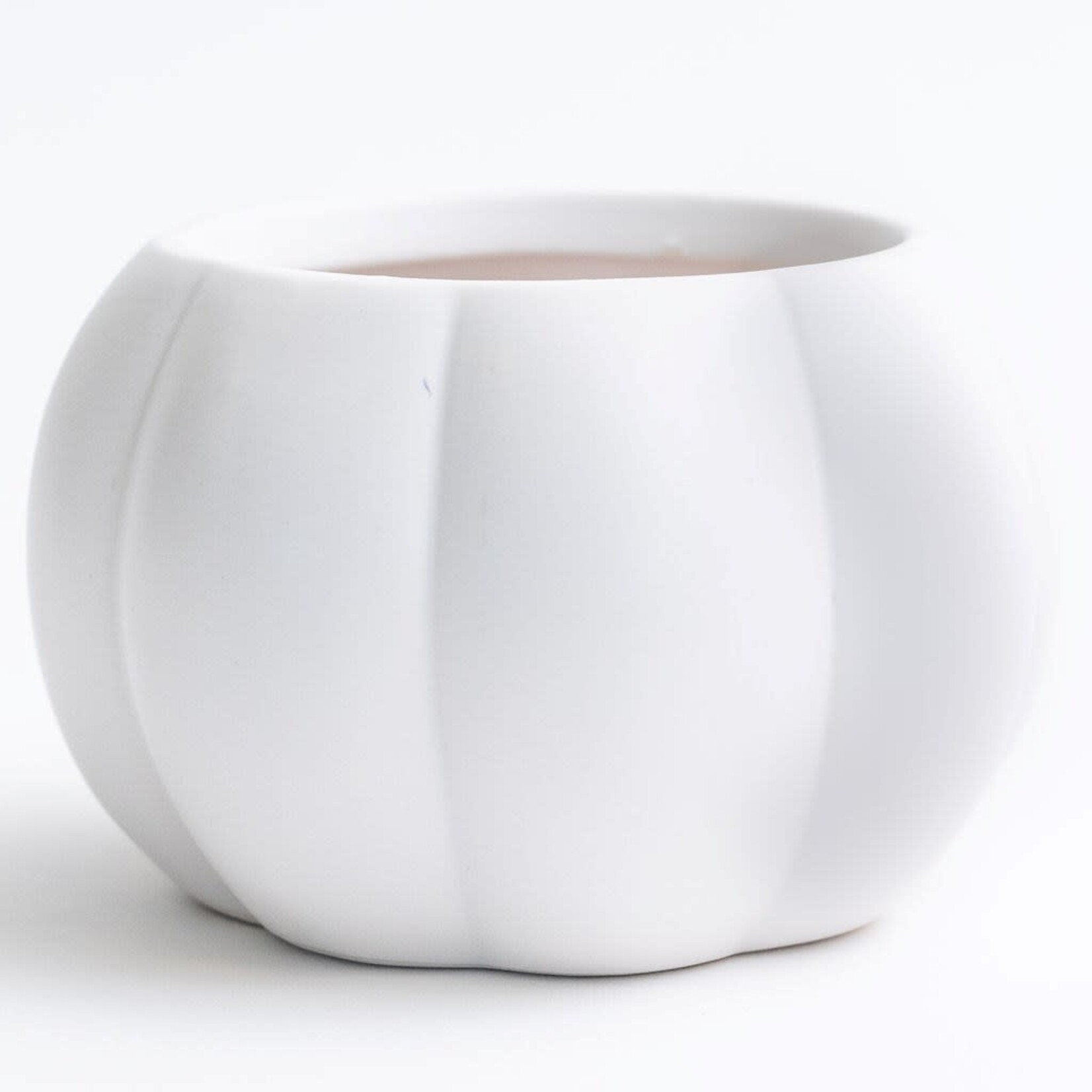 White Glazed Pumpkin  4 " POT