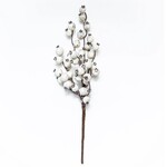 White Mini Pomegranate  Pick