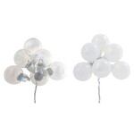 25mm 2 Asst CLEAR/OPAQUE