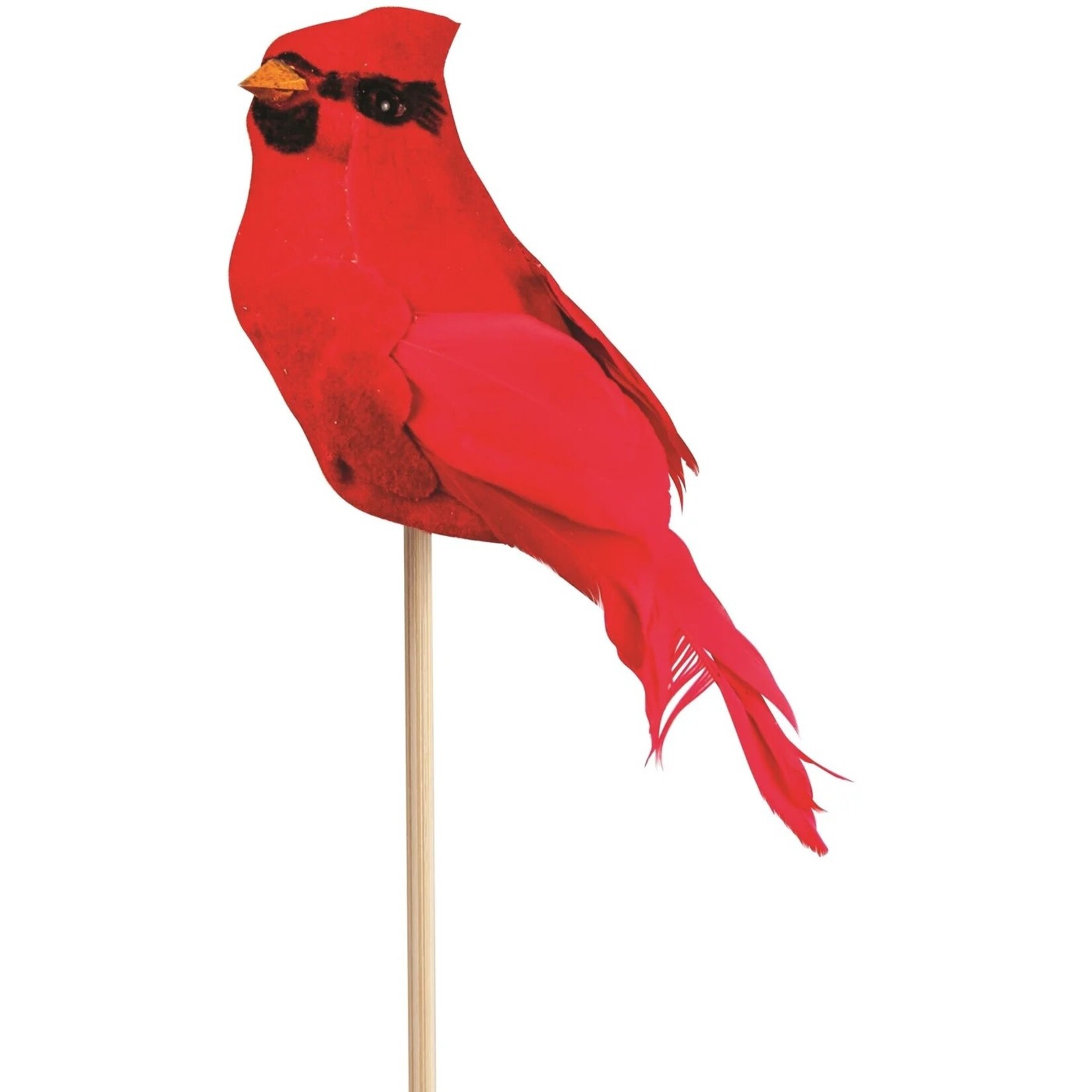 Red Cardinal Pick