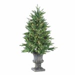 6' Tinkerbell Pine Tree CTE #136 Slim