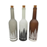 Light-up Winter Bottles  3 Asst .