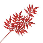 SPRAY LEAVES 31.5" RED GLITTER