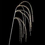 SPRAY GRASS HANGING 24" CHAMPAGNE GLITTER