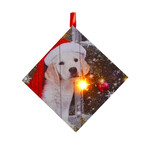 CANVAS 5"X5" 1 LED W/ PUPPY W/ SANTA HAT