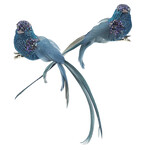 BIRD PEACOCK 6.25" W/CLIP 2/S