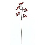 22" Single Spray w/5 Cluster Berries Pick  - BURGUNDY