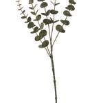 29" Eucalyptus Pick  - GREEN