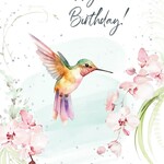 Greeting Cards - Happy Birthday Hummingbird Orchids