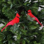 5.5" Cardinal w/Pine Clip 2Asst.