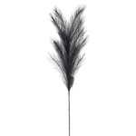 30" Black Grass Branch Pick